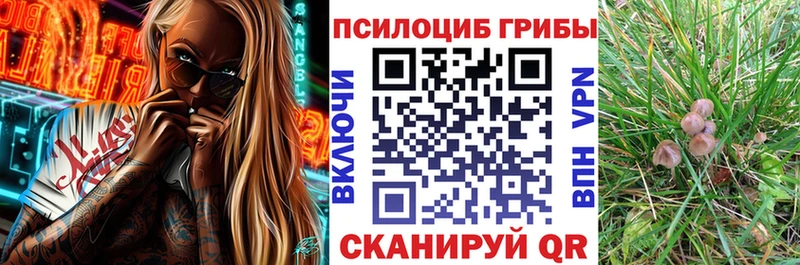 Псилоцибиновые грибы ЛСД блэк спрут ТОР Краснообск